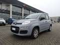 Fiat Panda Panda 1.2 Easy Grau - thumbnail 1