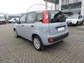 Fiat Panda Panda 1.2 Easy Grau - thumbnail 6