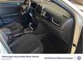 Volkswagen T-Roc 1.5 TSI R-Line DSG AHK Navi Kamera uvm Weiß - thumbnail 13