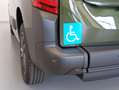 Citroen Berlingo Trasporto Disabili con Pedana Ribassata Verde - thumbnail 11