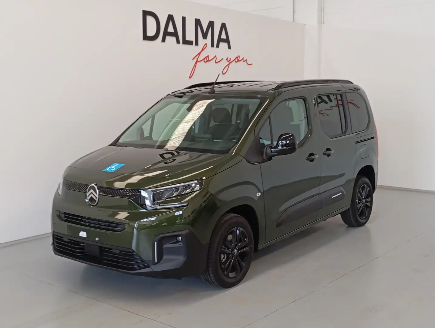 Citroen Berlingo Trasporto Disabili con Pedana Ribassata Verde - 1