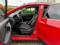 Nissan Qashqai Qashqai 1.6 dCi Xtronic TEKNA Rot - thumbnail 22