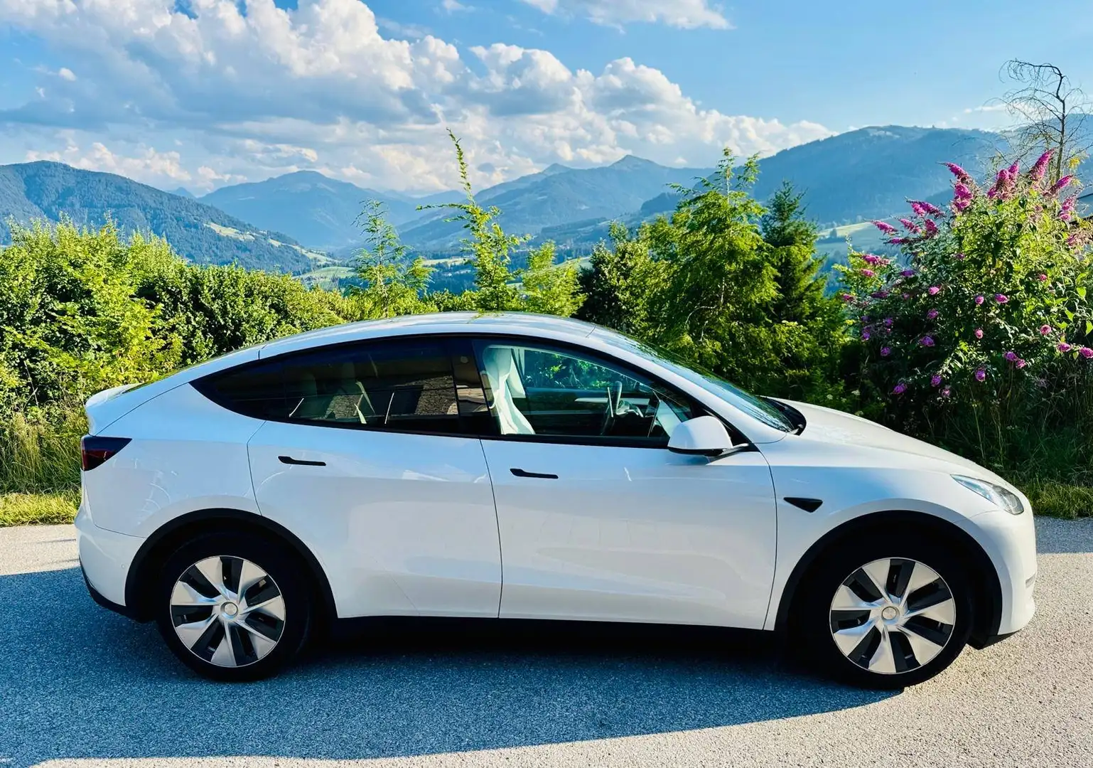 Tesla Model Y Model Y Long Range AWD 75kWh Weiß - 2