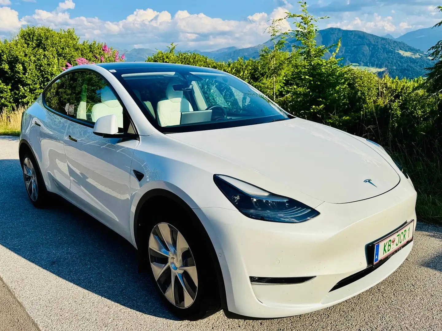 Tesla Model Y Model Y Long Range AWD 75kWh Weiß - 1