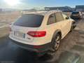 Audi A4 allroad 2.0 TDI 190 CV S.tr. TETTO PANORAMICO Weiß - thumbnail 3