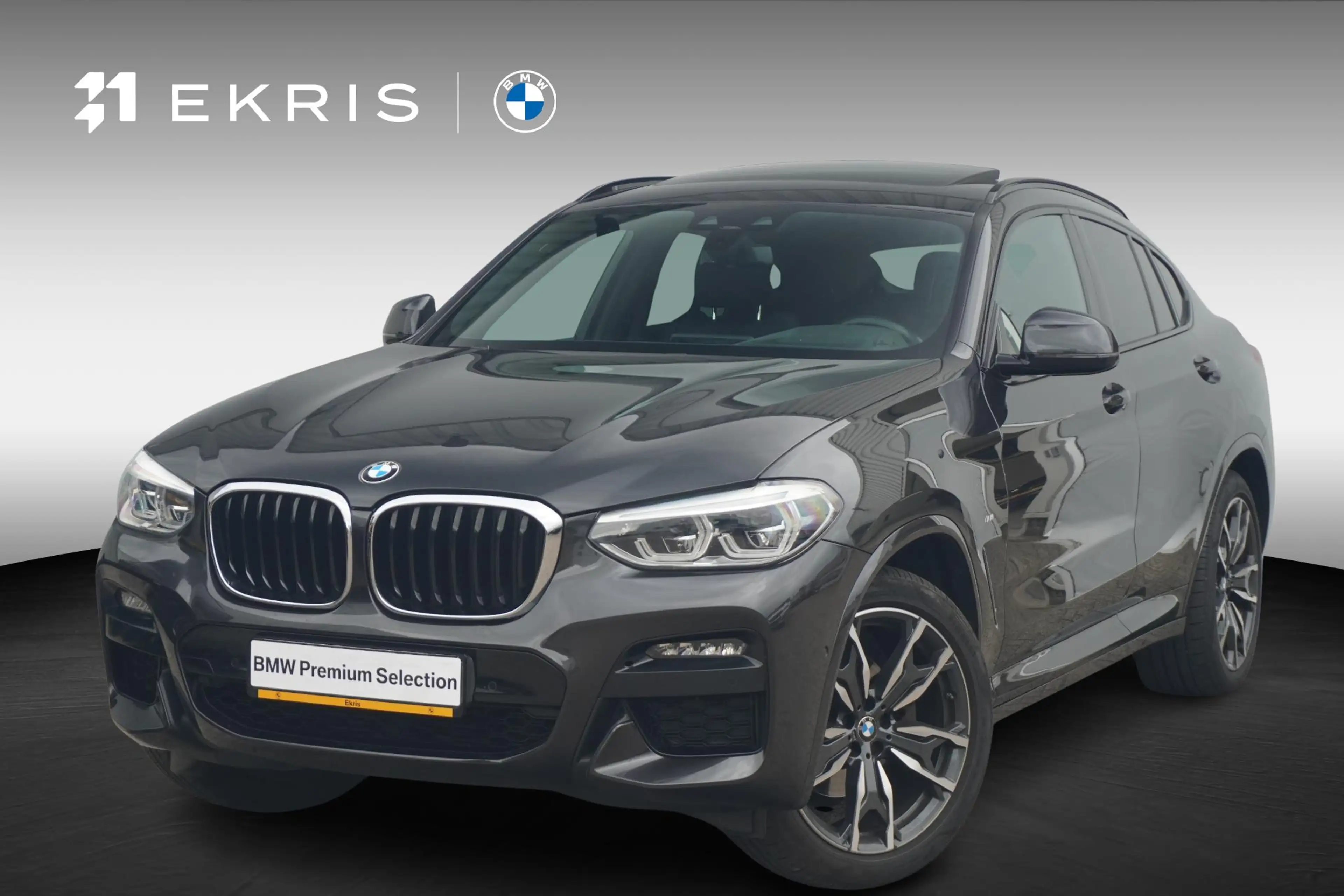 BMW X4 xDrive20i | M Sportpakket | Panoramadak | HiFi Sys