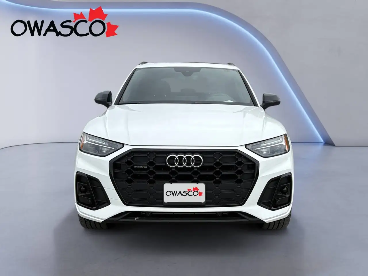 Audi Q5 fotografie Audi Q5