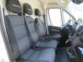 Fiat Ducato E-Ducato L2H2 35 79KW *SONDERPREIS*GROSSER AKKU* Weiß - thumbnail 11