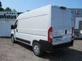 Fiat Ducato E-Ducato L2H2 35 79KW *SONDERPREIS*GROSSER AKKU* Weiß - thumbnail 6