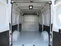 Fiat Ducato E-Ducato L2H2 35 79KW *SONDERPREIS*GROSSER AKKU* Weiß - thumbnail 7