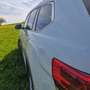 Volkswagen Atlas VW Atlas SEL Premium, Kamera 360°, 20 Zoll Reifen, Panorama Weiß - thumbnail 24