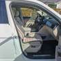 Volkswagen Atlas VW Atlas SEL Premium, Kamera 360°, 20 Zoll Reifen, Panorama Weiß - thumbnail 8