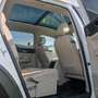 Volkswagen Atlas VW Atlas SEL Premium, Kamera 360°, 20 Zoll Reifen, Panorama Weiß - thumbnail 12
