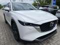 Mazda CX-5 SKYACTIV-D 184 SCR AWD Aut. Advantage Weiß - thumbnail 1