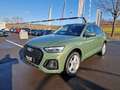 Audi Q5 SB 40 TDI quattro * S-LINE * PANORAMADACH Grün - thumbnail 6