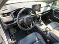 Toyota RAV 4 Rav4 V 2019 Rav4 2.5 vvtie h Business2wd 218cvecvt Bianco - thumbnail 9