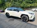 Toyota RAV 4 Rav4 V 2019 Rav4 2.5 vvtie h Business2wd 218cvecvt Bianco - thumbnail 3