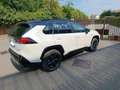 Toyota RAV 4 Rav4 V 2019 Rav4 2.5 vvtie h Business2wd 218cvecvt Bianco - thumbnail 5