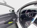 Volkswagen Golf GTI Golf VIII 2.0 TSI DSG GTI CLUBSPORT*BLACK-STYLE* Weiß - thumbnail 14