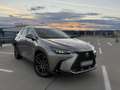 Lexus NX 350h 2.5 Hybrid Executive Line Grau - thumbnail 5