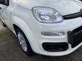 Fiat Panda Pandina 1.0 firefly hybrid PACK CITY PREZZO REALE Blanc - thumbnail 19