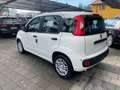 Fiat Panda Pandina 1.0 firefly hybrid PACK CITY PREZZO REALE Bianco - thumbnail 6