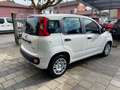 Fiat Panda Pandina 1.0 firefly hybrid PACK CITY PREZZO REALE Bianco - thumbnail 5