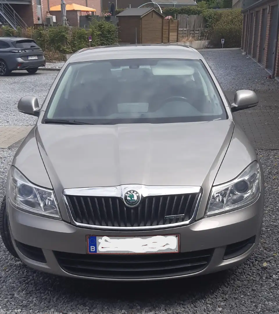 Skoda Octavia Octavia 1.6  TDi GreenLine Grijs - 1