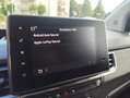 Renault Kangoo 1.3 TCe Techno EDC LED Kamera SHZ Argintiu - thumbnail 10