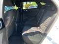 Kia ProCeed / pro_cee'd GT-Line 1.5 T-GDI LED+NAVI+KAMERA+SHZ Weiß - thumbnail 11