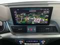 Audi Q5 50 TFSI e quattro S line MATRIX+AHK+RFK+PHEV+ Gris - thumbnail 10