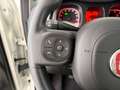 Fiat New Panda City Cross 1.0 FireFly Hybrid Weiß - thumbnail 11