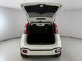 Fiat New Panda City Cross 1.0 FireFly Hybrid Weiß - thumbnail 20