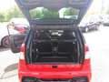 Ligier JS 50 dCi +Servo Black1000 AKTION-TAGESZULASSUNG JS50... Roşu - thumbnail 11