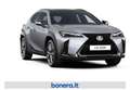 Lexus UX 300e 300h 2.0 F-Design 2wd cvt Argento - thumbnail 2
