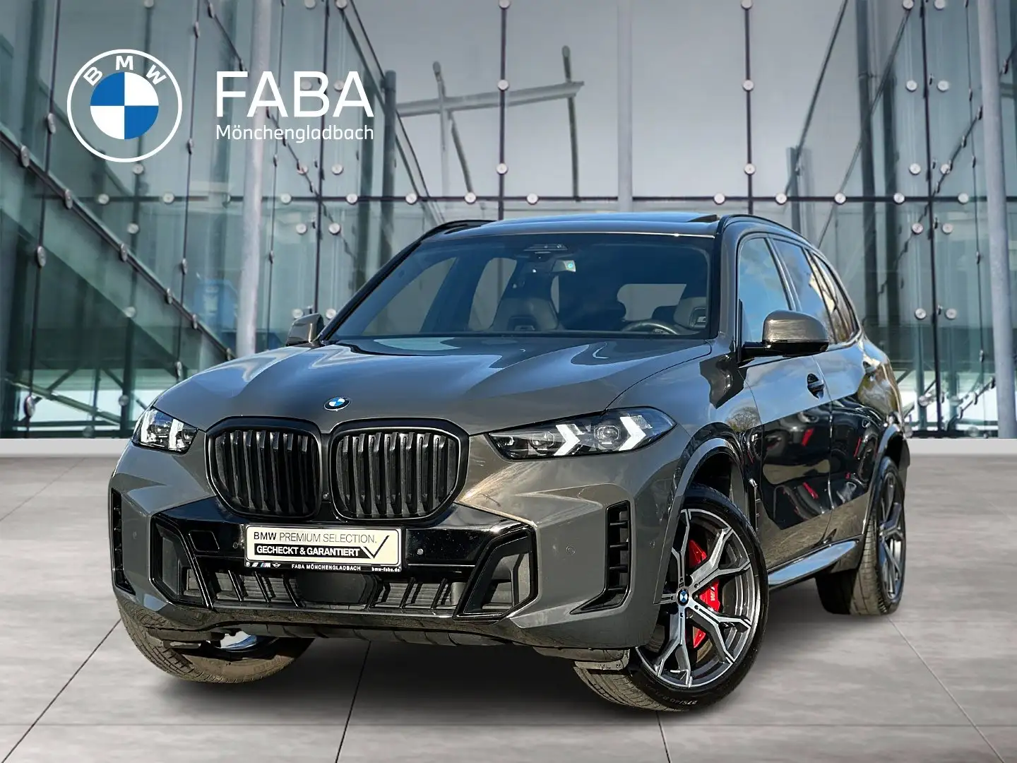 BMW X5 xDrive30d M Sportpaket Gestiksteuerung DAB Gris - 1