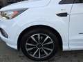 Ford Kuga 1.5 EcoBoost Vignale + ST-LINE + SONY SOUND + PANO Blanc - thumbnail 8