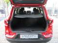 Renault Kadjar Kadjar 2022 1.5 blue dci Intens 115cv edc Rosso - thumbnail 13