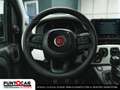 Fiat Panda Panda Cross 1.0 FireFly S&S Hybrid PROMO FLEX Verde - thumbnail 8
