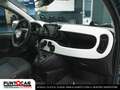 Fiat Panda Panda Cross 1.0 FireFly S&S Hybrid PROMO FLEX Verde - thumbnail 12