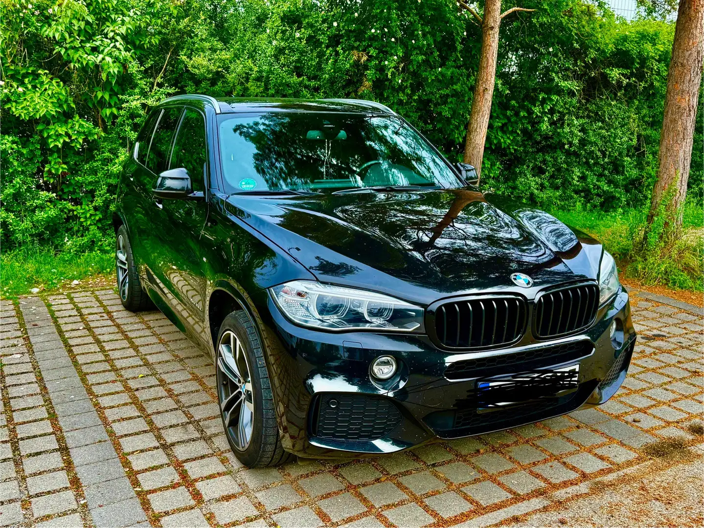 BMW X5 xDrive25d M sportpaket Head Up - 1