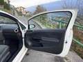 Opel Corsa 3p 1.3 cdti Sport 90cv - thumbnail 9