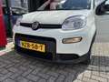 Fiat Panda 1.0 Hybrid Urban | Airco Wit - thumbnail 11