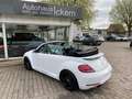 Volkswagen Beetle Allstar BMT/Start-Stopp White - thumbnail 6