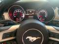 Ford Mustang Fastback 5.0 V8 TiVCT aut. GT Rouge - thumbnail 6