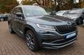 Skoda Kodiaq RS 4x4 AHK Lenkradheizung DAB+ Gris - thumbnail 10