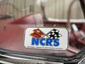 Chevrolet Corvette C1 1955 / 235Cu 3,9L Blue-Flame 6-in lijn / Histor Blanco - thumbnail 45