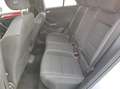 Volkswagen T-Roc 2.0 TDI DSG 4Motion Sport STHZG*LED*NAV*SHZ*ACC... Weiß - thumbnail 17