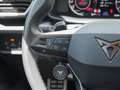 CUPRA Formentor TSI VZ 4Drive DSG /Navi/AHK/RFK/BEATS Grün - thumbnail 18
