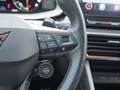 CUPRA Formentor TSI VZ 4Drive DSG /Navi/AHK/RFK/BEATS Grün - thumbnail 19